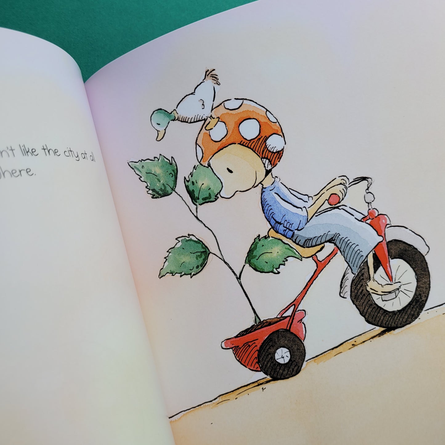 Story Time Selection - 18 Picture Story Books with an Environmental Message