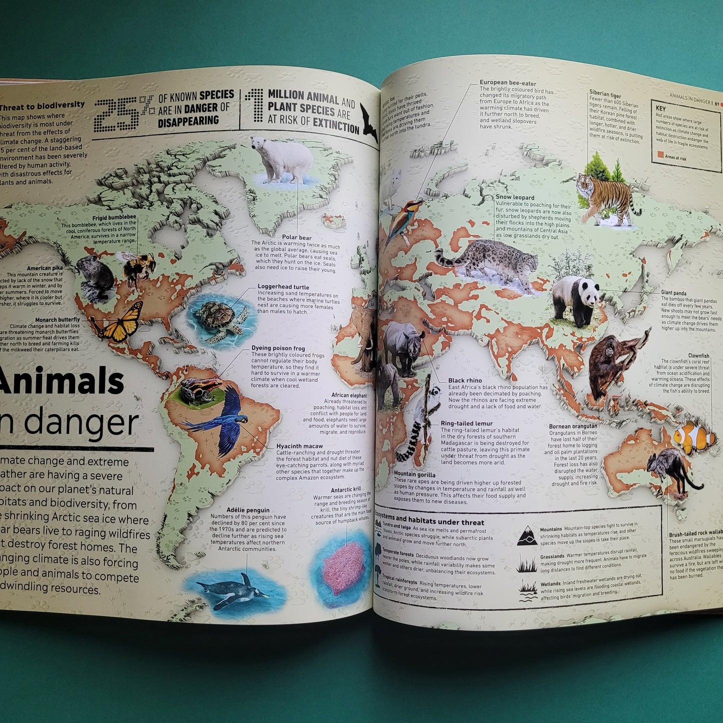 Climate Emergency Atlas, What's Happening, What Can We Do?