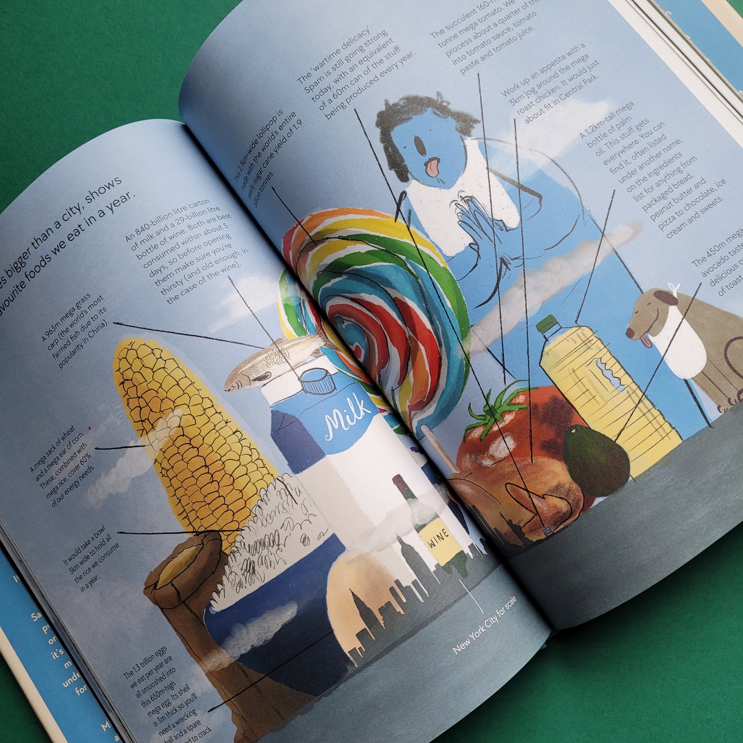 Secondary School Young Adult Climate Non-Fiction Package 11-18 Years