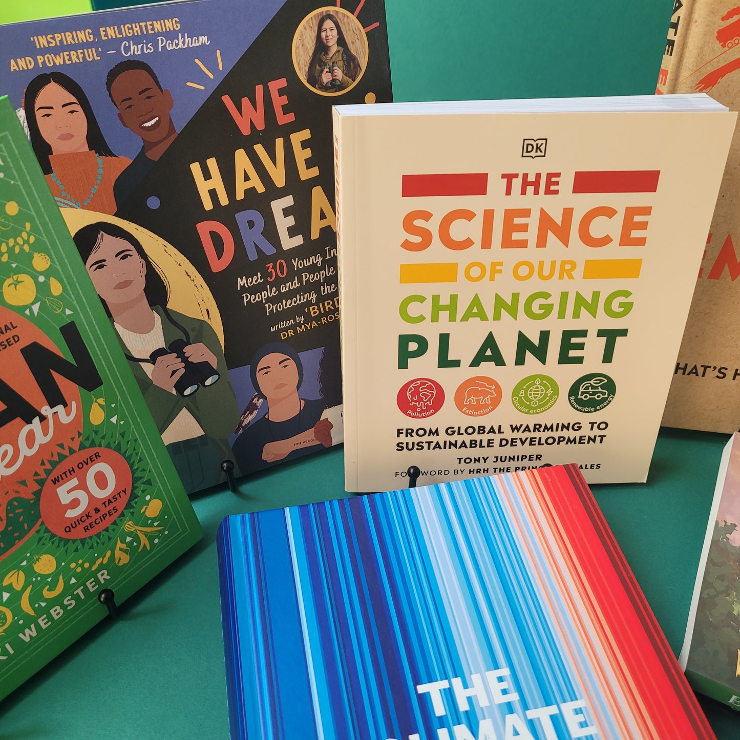 Secondary School Climate & Environment Mixed Fiction & Non-fiction Book Package Approx 42 Books