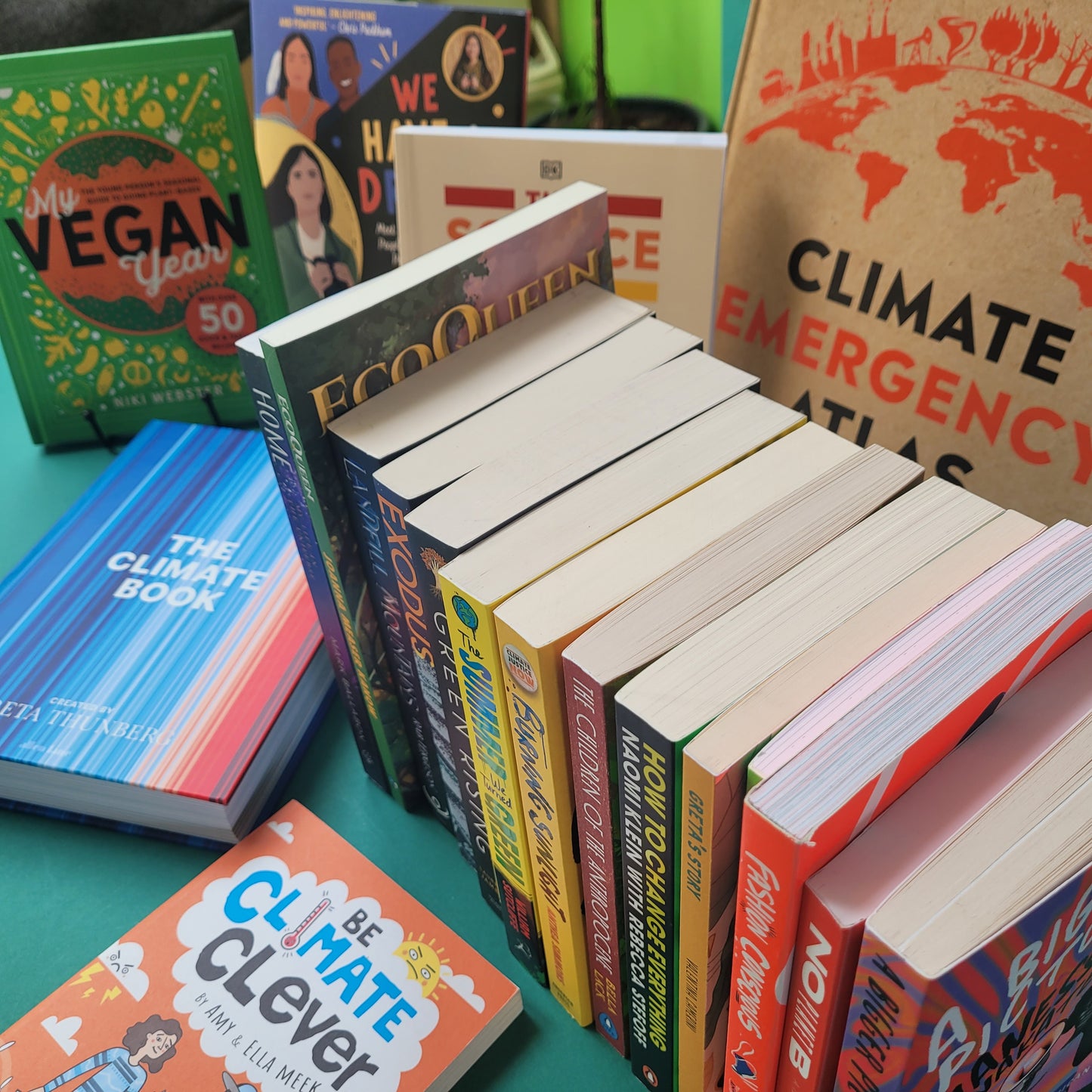 Secondary School Climate & Environment Mixed Fiction & Non-fiction Book Package Approx 42 Books