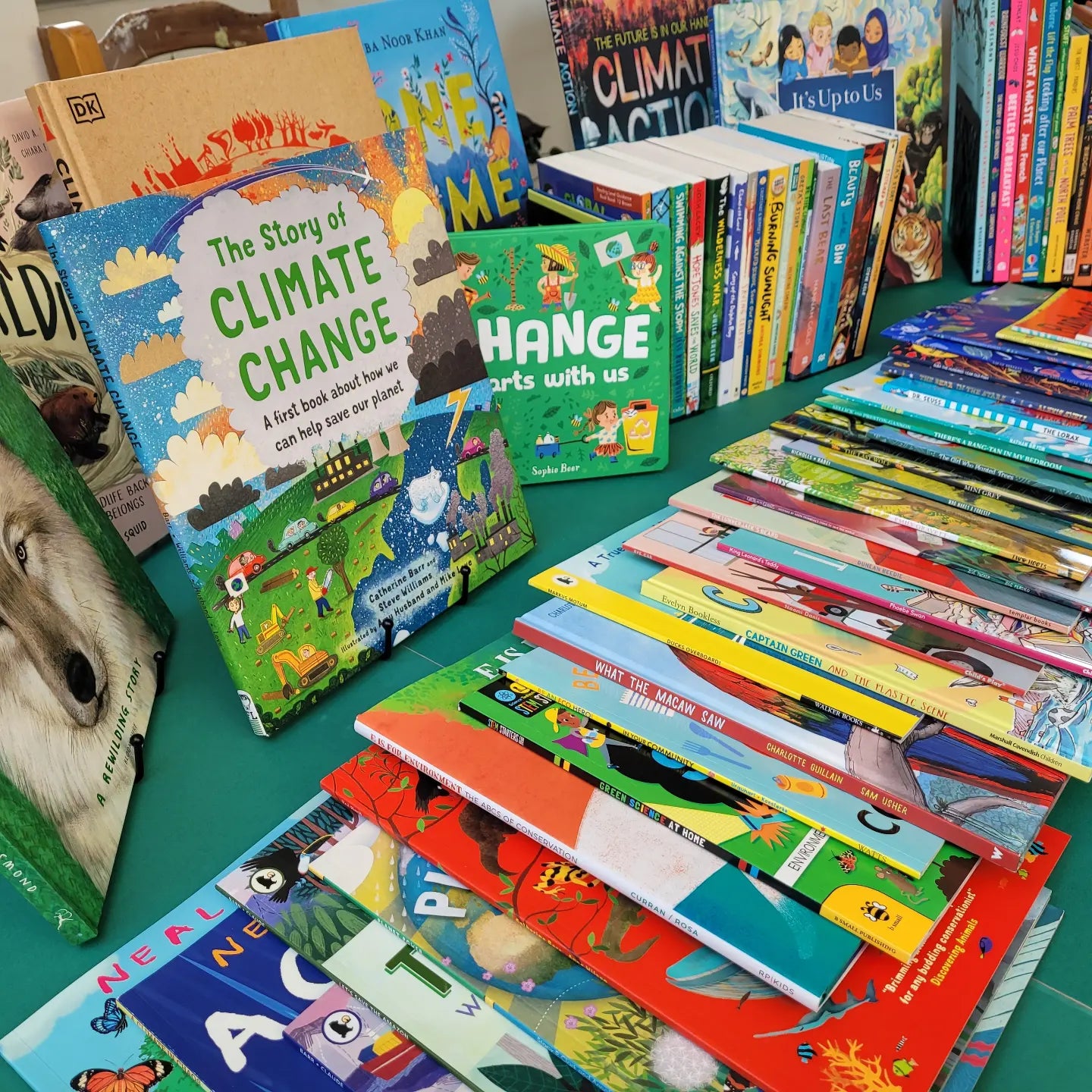 Children's Eco-Library for Climate Cafes & Learning Hubs – Micro ...