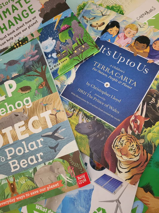 Key Stage 1 (Age 4-7) Non-Fiction Climate & Environment Book Collection (25 books)