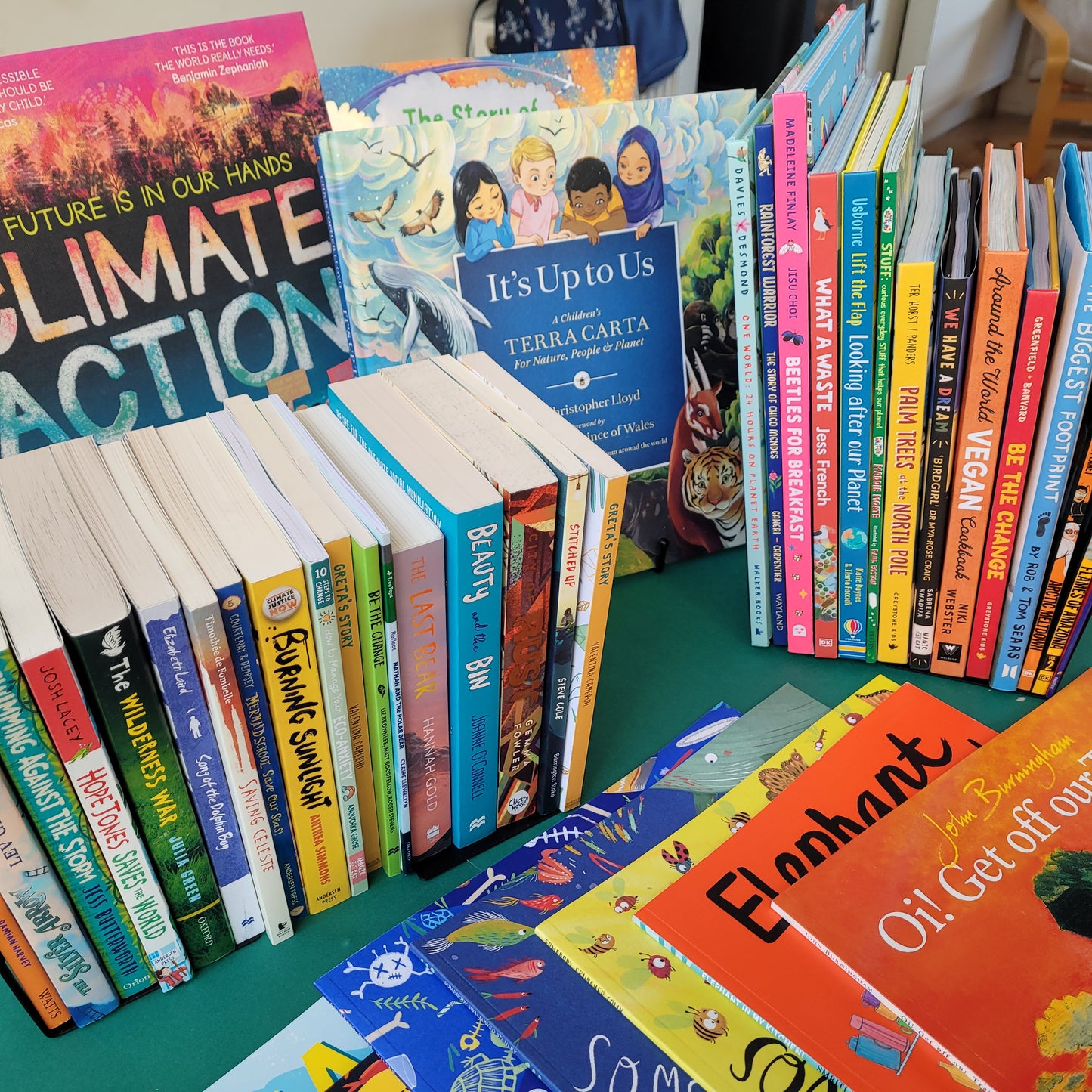 Primary School (Age 4-11) Climate & Environment Book Collection (Both Fiction & Non-Fiction) 75 Books