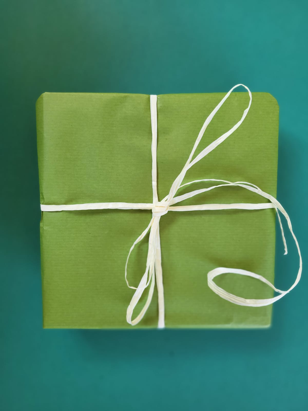 15-18 years 'Cooking Up a Campaign' Gift Wrapped Eco-Book Bundle